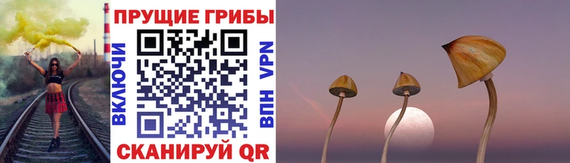 Галлюциногенные грибы Cubensis  дарнет шоп  Белинский 